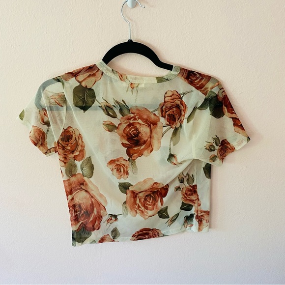 Lot Ginger G Cottagecore Romantic Sheer Floral Mesh Crop Tshirts - Picture 3 of 13